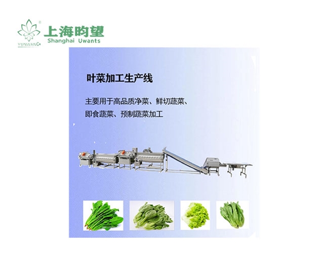 葉菜加工生產(chǎn)線