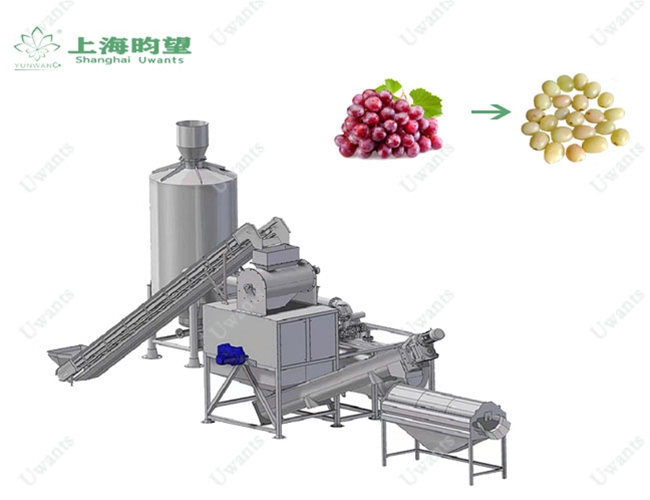 葡萄蒸汽去皮機(jī)